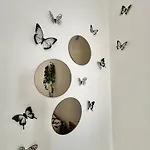 Domira Olivova 公寓 布拉格