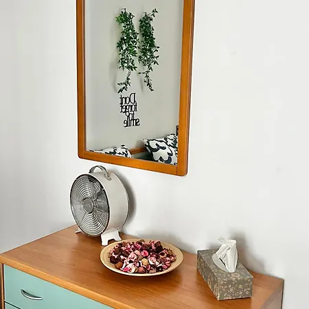 Apartment Domira Olivova