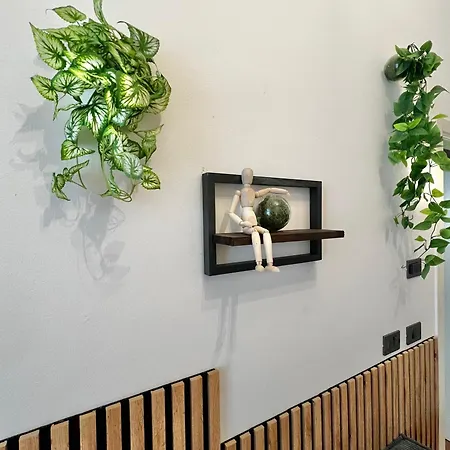 Domira Olivova Apartment Prag