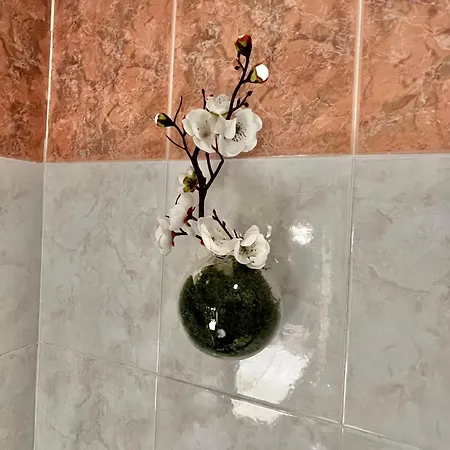 Apartament Olivova